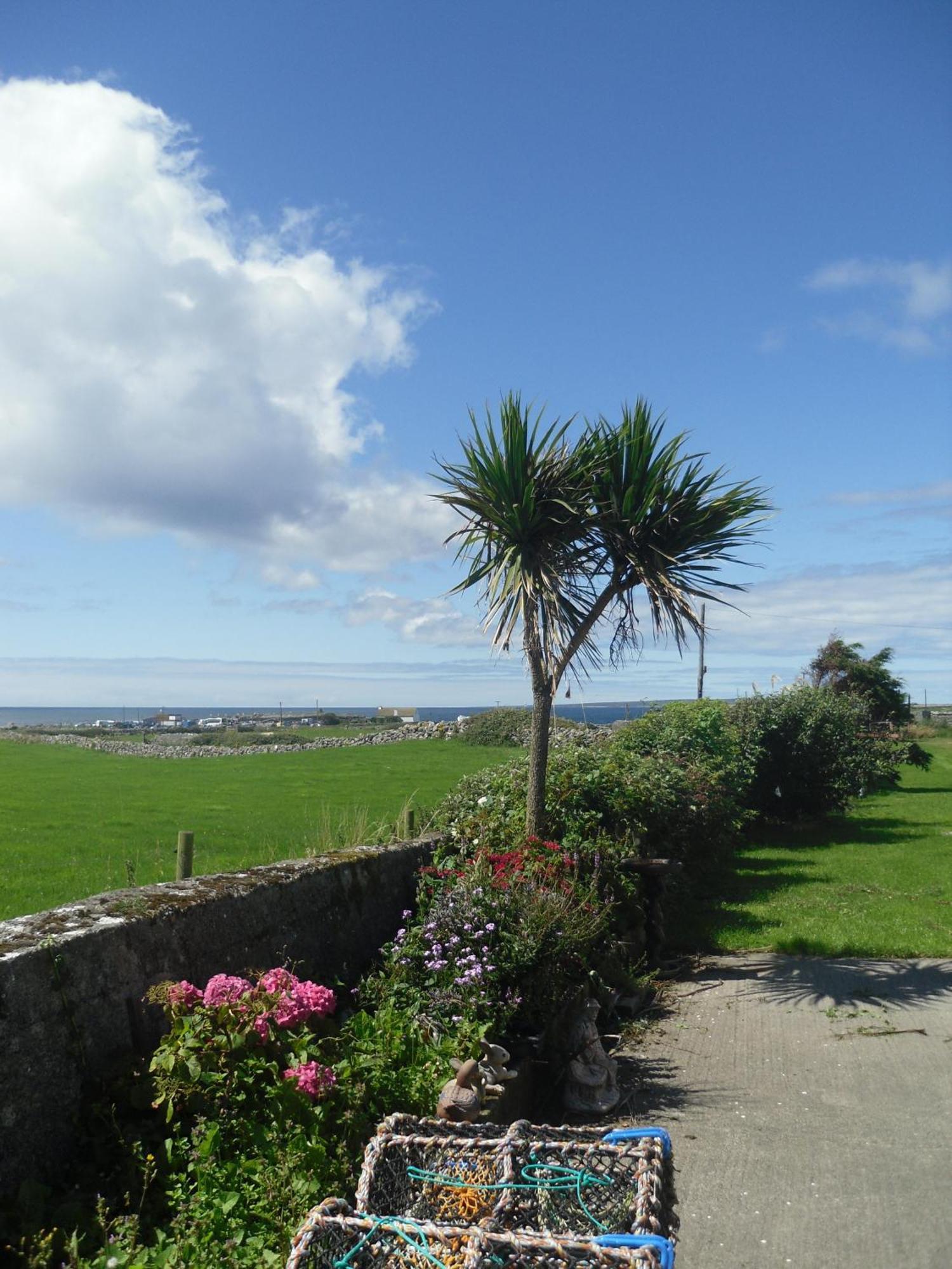 Atlantic View House Otel Doolin Dış mekan fotoğraf